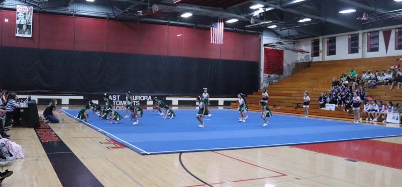 Bardwell's cheerleaders perform their routine.