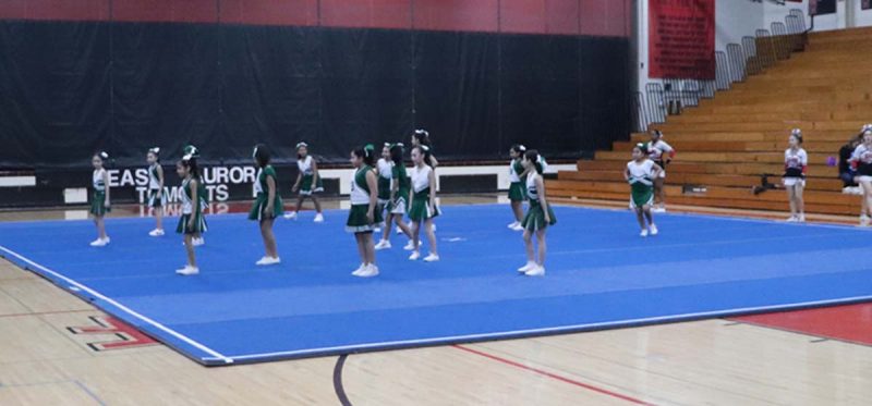 Bardwell's cheerleaders take the mat